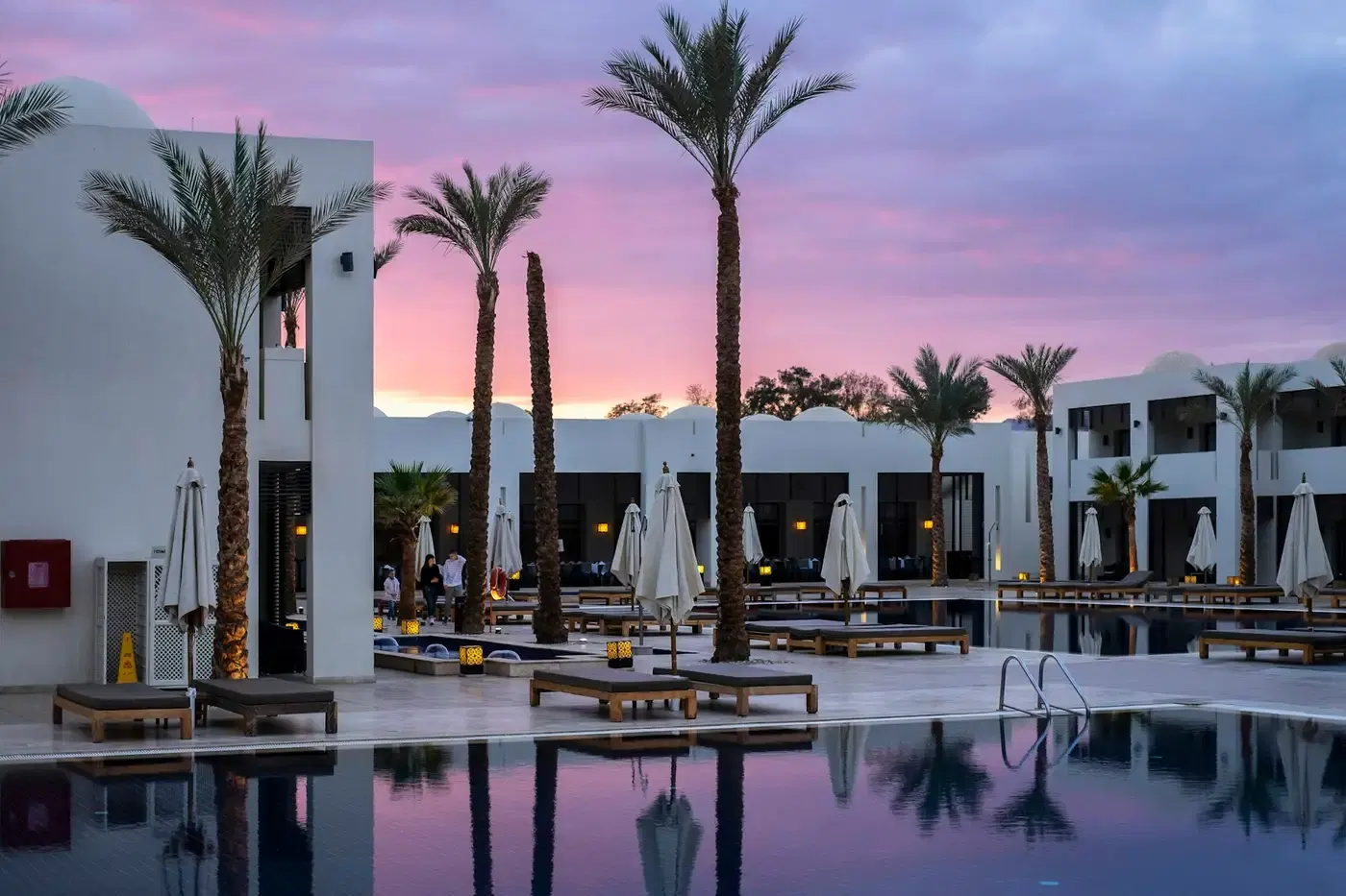 Palm-lined resort pool at dusk Palm-lined resort pool at dusk